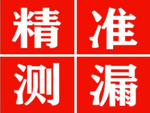 全州尚嘉漏水精准查找
